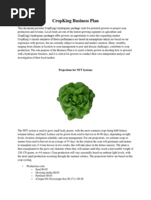 cropking business plan commercial hydroponic lettuce production